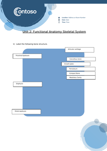 Unit 2: Functional Anatomy in Sport (Skeletal System)