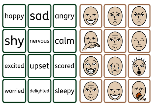 Zones of Regulation Emotions Matching