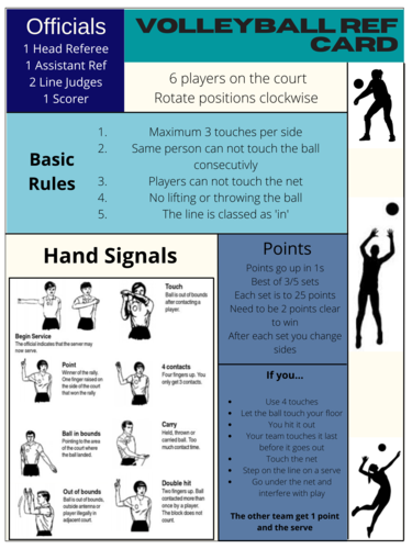 Volleyball referee card