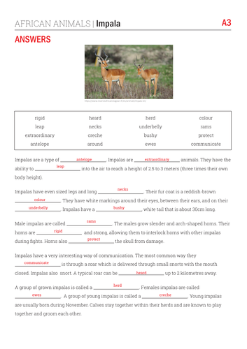 Reading Comprehension African Animals Impalas