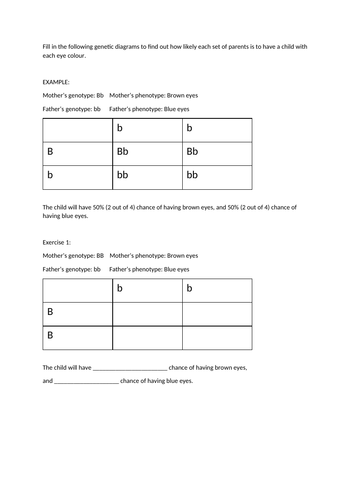 Genetic Cross Punnett Square Worksheet