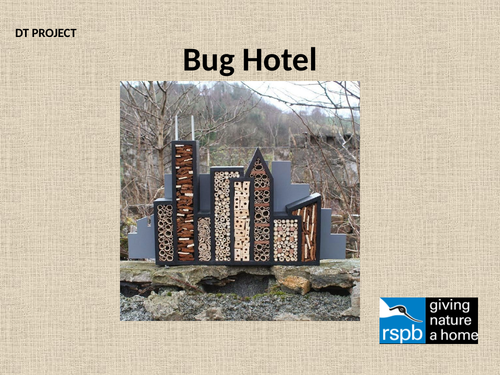 Bug Hotel