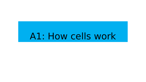 Cell Structure Lesson