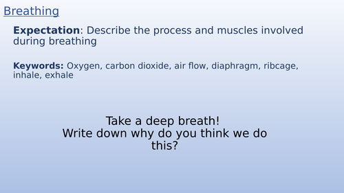 KS3 Respiration - Breathing and structure of lung