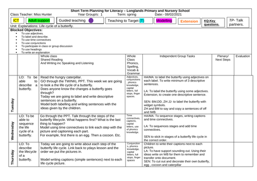 Life Cycle of a Butterfly WK planning EYFS/KS1