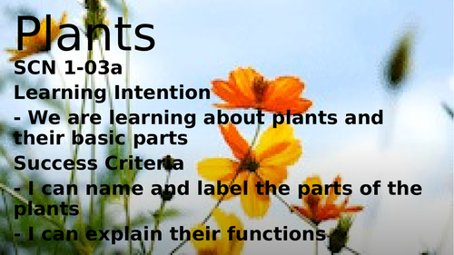 Plants and Flowers PPT