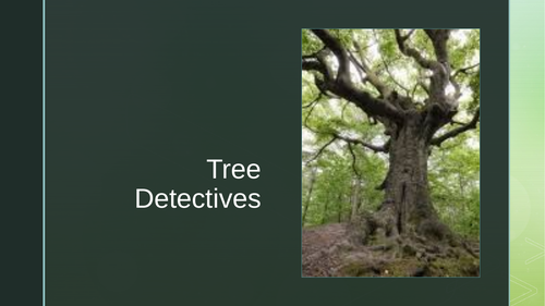Tree Detectives