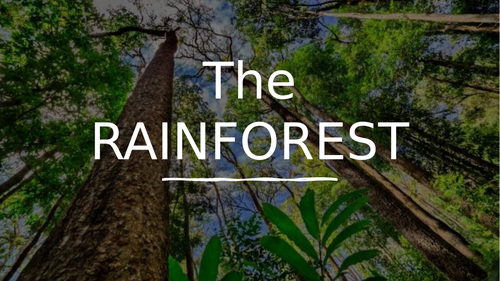 The Rainforest - Location