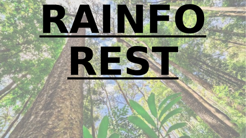 The Rainforest - Climate