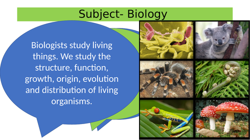 KS3 Biology Life Processes (MRS GREN) Lesson PowerPoint