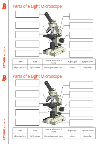 KS3 Biology  Microscopy  complete lesson