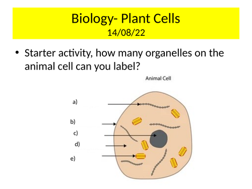 KS3 Biology Plant Cells PowerPoint lesson