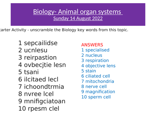 KS3 Biology Animal organs systems lesson