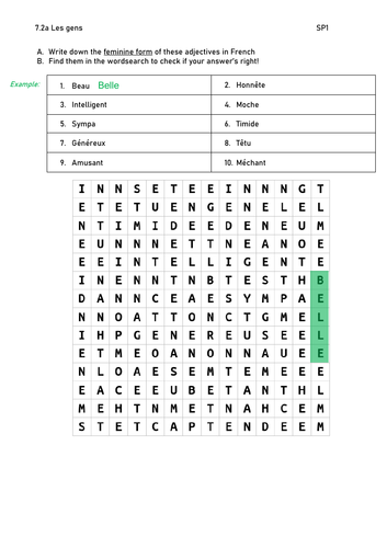 French Adjectives Wordsearch