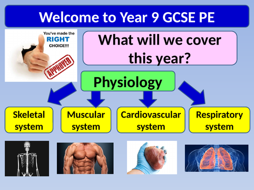 Functions of the Skeletal System Lesson and Resources