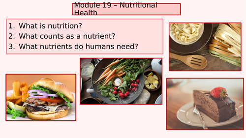 unit 19 health and social care assignment brief