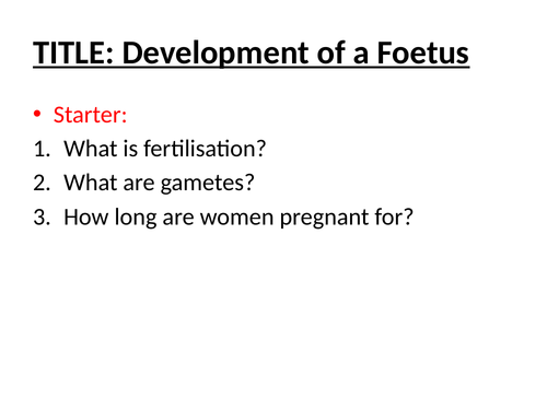 Development of a foetus