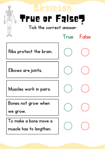 Skeleton and muscles  worksheet with answers - grade 4 Cambridge