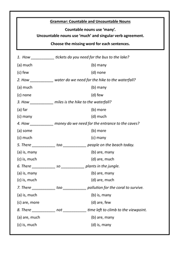 MANY/MUCH - Countable and Uncountable Nouns Exercise