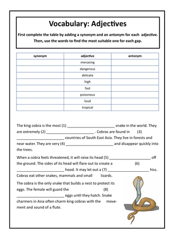 vocabulary-exercise-using-adjectives-about-cobras-teaching-resources