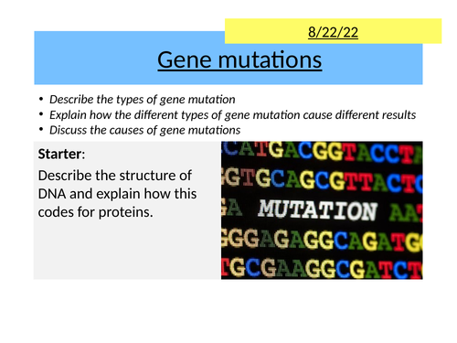 AQA 20.1 Gene mutations