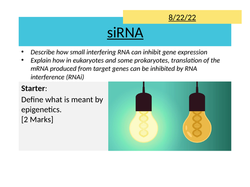 AQA 20.5 siRNA