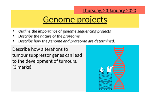AQA 20.7 Genome projects