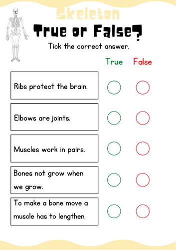 skeleton and muscles worksheet -year 4 Cambridge curriculum