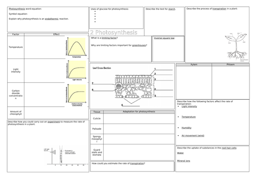 AQA Photosynthesis revision mat