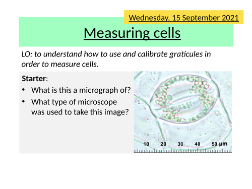 AQA 2.4 Measuring Cells (Graticules)