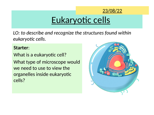 AQA 2.5 Eukaryotic Cells