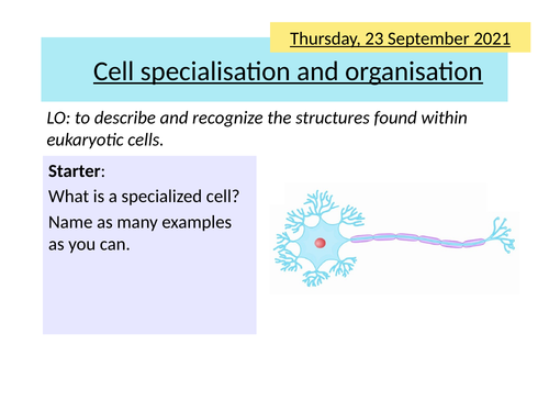 AQA 2.6 Cell Specialisation and Organisation