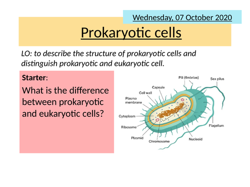 AQA 2.7 Prokaryotic Cells