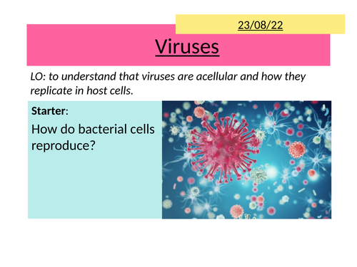 AQA 2.7 Viruses