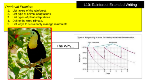 Brazil Rainforest Extended Writing