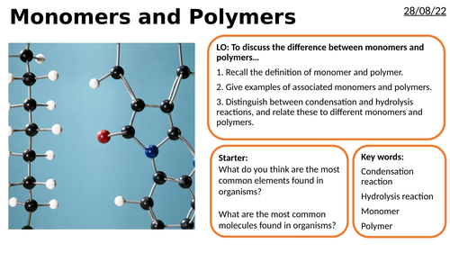 AS/A2-Level AQA Biology Monomers and Polymers Full Lesson
