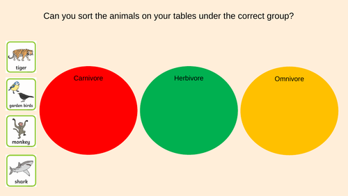 Poo Investigation (Science observational skills)