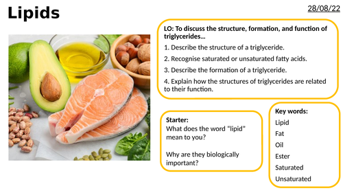 AS/A2-Level AQA Biology Lipids Triglycerides Phospholipids Emulsion Test Full Lesson