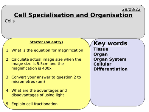 Cell Specialisation and Organisation - AQA - A level