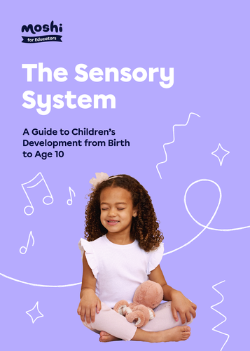 SEL - The Sensory System - Resource