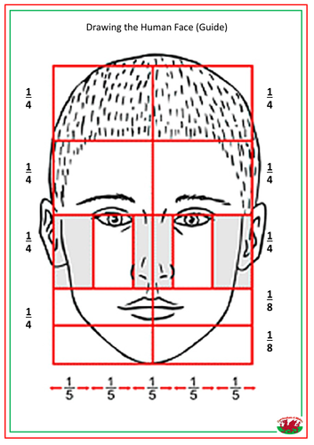 human face template