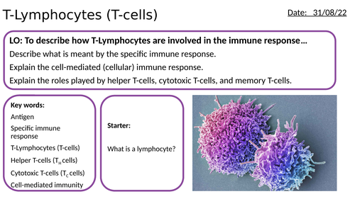 AS/A2-Level AQA Biology T-Lymphocyte T-cell Cell-Mediated Immunity Immune System Full Lesson