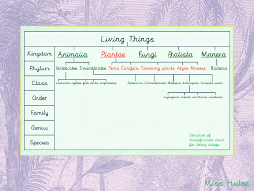 Science - Living things and their habitats L1/2 - The Nature Library (Upper KS2 - Year 6)