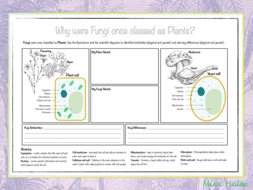 Science - Living things and their habitats L8 - The Nature Library (Upper KS2 - Year 6)