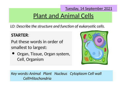 AQA Plant and Animal Cells