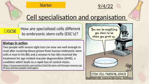 A level Biology Cell specialisation and organisation (AQA-NEW)