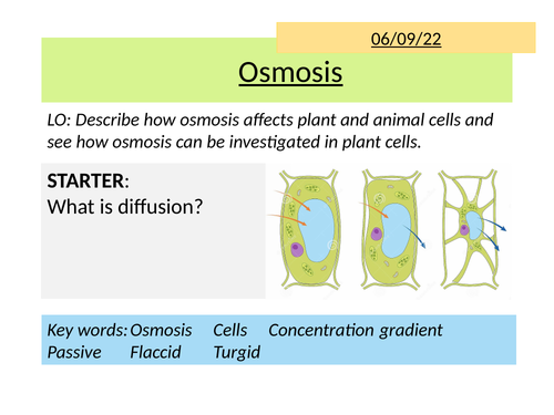 AQA Osmosis and required practical