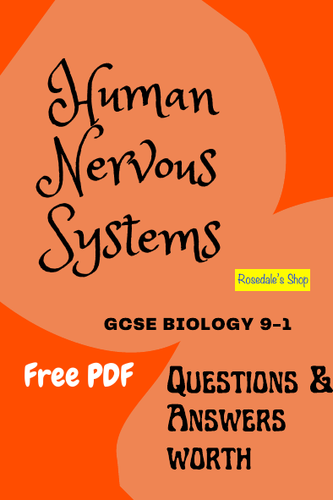 The Human Body "Nervous System" | Basic Biology Study ANSWERS | GCSE / IGCSE | AQA / Edexcel / OCR
