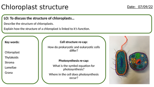 AS/A2-Level AQA Biology Chloroplast Structure Full Lesson