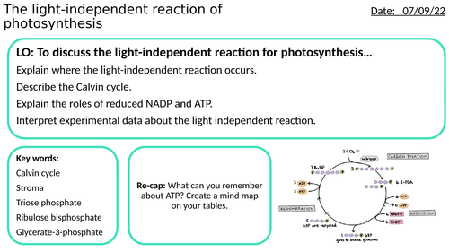 AS/A2-Level AQA Biology Light independent reaction of photosynthesis Full Lesson